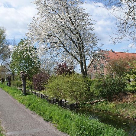 Gastenverblijf De Natureluur Apartamento Noorden Exterior foto